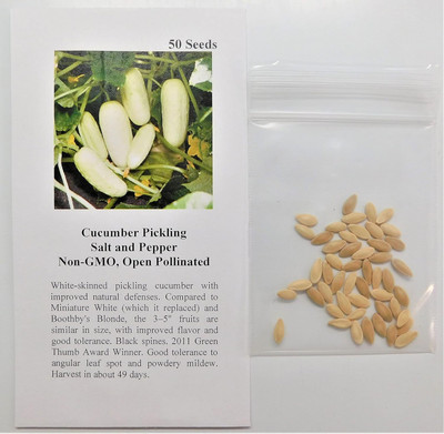 Qualtivate PUAS-5A Cucumber Pickling Seeds Seed(300 per packet)
