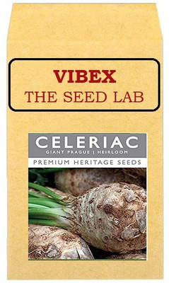CYBEXIS Celeriac Hybrid Seeds1000 Seeds Seed(1000 per packet)