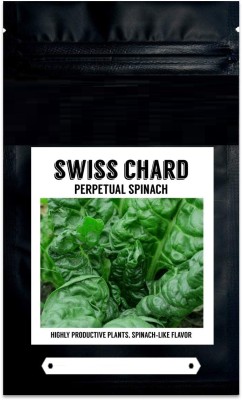 Qualtivate HYB-5A Perpetual Spinach Swiss Chard Seed(300 per packet)