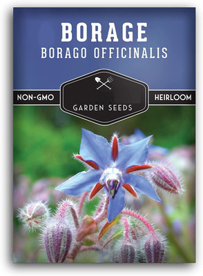 CYBEXIS TLX-24 - Certified Organic Borage - (1350 Seeds) Seed(1350 per packet)