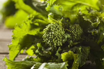 Qualtivate PUAS-5A Broccoli Raab Rabe Spring Rapini Seed(300 per packet)