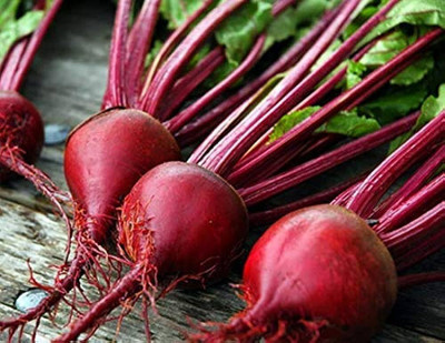 BDSresolve beetroot seeds for sprouting/beetroot seed 125 Seed(125 per packet)
