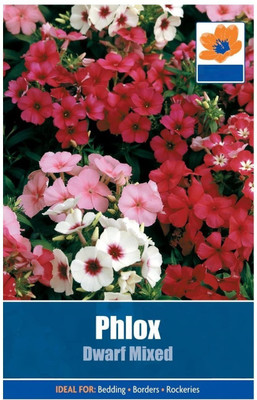 CYBEXIS Phlox Dwarf Mixed Seeds Seed(1 g)