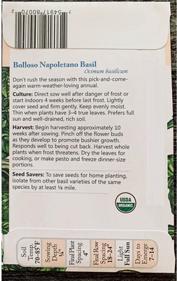 VibeX Bolloso Napoletano Basil Seed(1000 per packet)