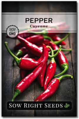 Qualtivate RES-9A Cayenne Pepper Chilli Seed(300 per packet)