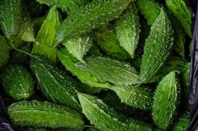 Oliver F1 BEST QUALITY BITTER GOURD SEEDS Seed(17 per packet)