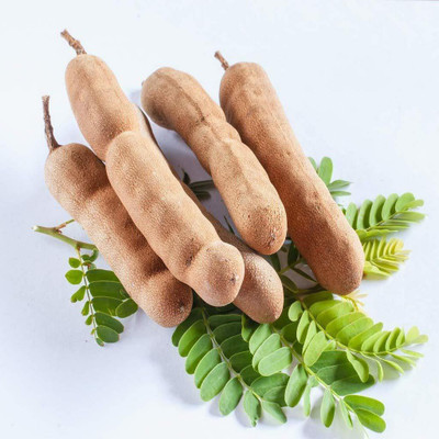 KANAYA IMLI seeds beej,Tamarind Seed(4 per packet)
