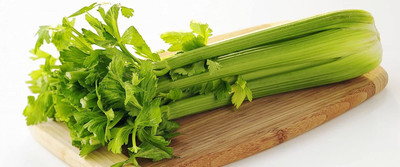 CYBEXIS Hardy Celery Seeds2800 Seeds Seed(2800 per packet)