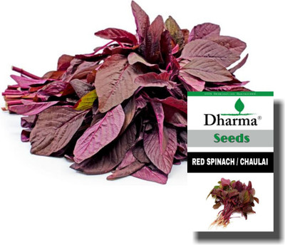 SBGARDEN Red Amaranth Spinach, Red Chaulai Saag Seed(500 per packet)