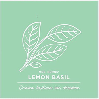 VibeX ® XLR-56 Lemon Basil Herb Seeds Seed(1000 per packet)