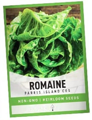 CYBEXIS Romaine Lettuce2000 Seeds Seed(2000 per packet)