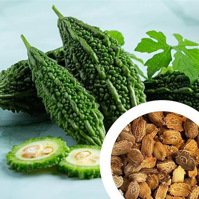 GREENSEA High Yielding Bitter Gourd, Uchchhe, Karela Seed(30 per packet)