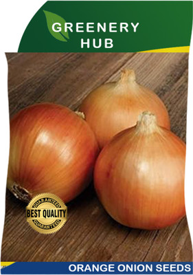 Greenery Hub Premium Orange Onion Seeds for Small Gardens Seed(50 per packet)