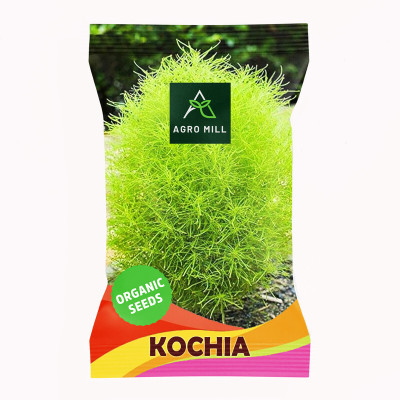 AGRO MILL KOCHIA/BURNING BUSH/SUMMER CYPRESS PREMIUM QUALITY Seed(30 per packet)