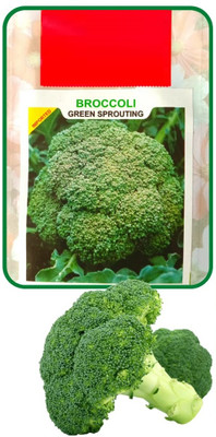 Qualtivate GUA-204 Gypsy Broccoli Seed Seed(200 per packet)