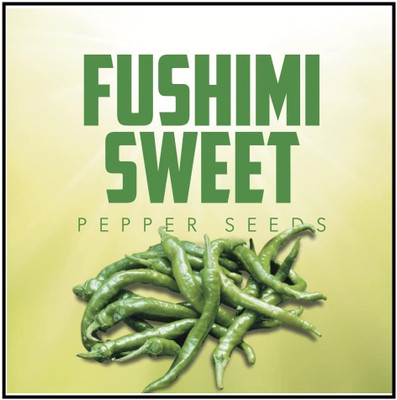 KNESSiN Easy to Grow Fushimi Japanese Pepper Seeds For Kitchen Gardening-(2400 Seeds) Seed(2400 per packet)