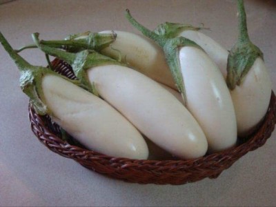 Aywal Brinjal White long plant Seed(30 per packet)