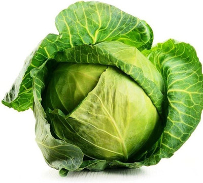 ibains 2024-11-20 Seed(260 per packet)