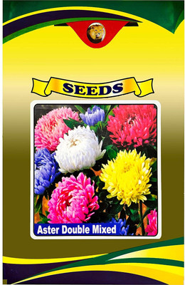 CYBEXIS Aster Mix Flower Seeds Seed(50 per packet)