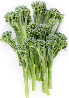 WILLVINE KGF -277 Spring Raab Rapini Broccoli Seeds Seed(200 per packet)