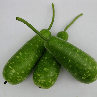 VibeX ® VLR-215 Bottle Gourd Dudhi Sorakaya Lauki Seeds Calabash Seed(50 per packet)
