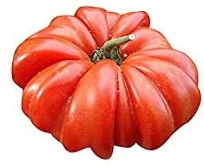 FUTABA Rare Zapotec Tomato Vegetable Seeds-Red Seed(200 per packet)