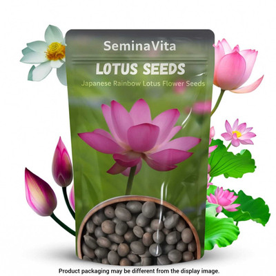 SEMINA VITA lotus seeds for home kamal seeds Seed(50 per packet)