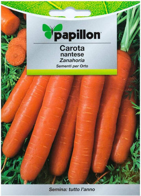 KNESSiN Carrot Nantes Early Seed(2500 per packet)