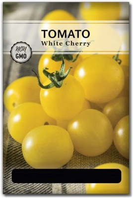 Quentova White Cherry Tomato 10gm Seeds Seed(4000 per packet)