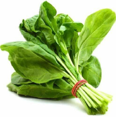 VibeX ® VMR-488 Spinach High Germination Seeds Seed(500 per packet)