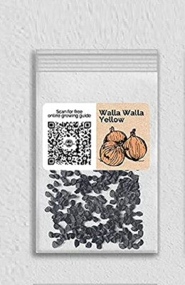 WILLVINE Non-GMO F1 HybridWalla Walla Onion-5000 Seeds Seed(5000 per packet)
