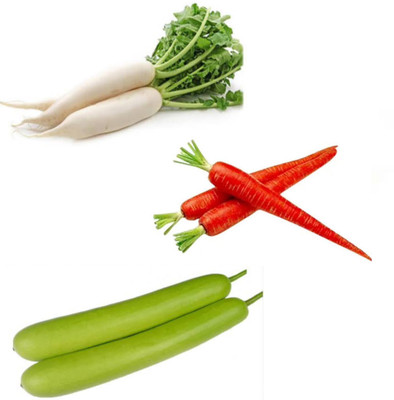 PSAgroinput Mooli(Radish)-Gajar(Carrot)-Lauki(Bottlegourd) pack of 3 Seed(100 g)