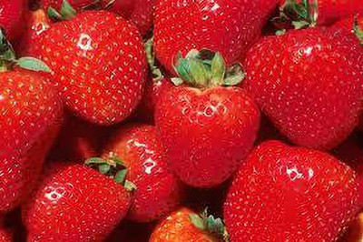 XOLDAA XOLDAA F1quality hybrid strawberry seeds Seed(35 per packet)