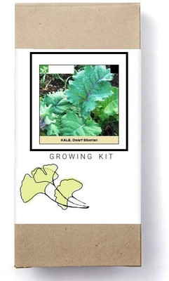 Biosnyg Dwarf Siberian Kale-[1000 Seeds] Seed(1000 per packet)