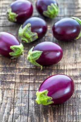 KNESSiN Organic Mini Bambino Brinjal Eggplant (400 Seeds) Seed(400 per packet)