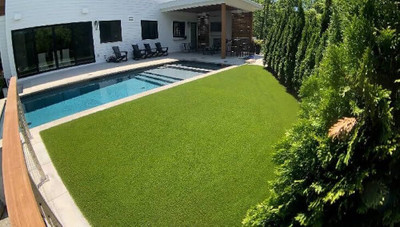 BDSresolve American grass seeds for lawn PACK OF 3099 Seed(52500 per packet)