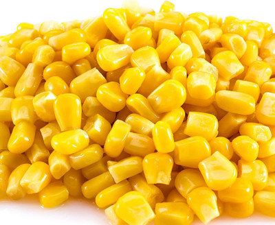 CYBEXIS Hybrid Yellow Corn Seeds2000 Seeds Seed(2000 per packet)