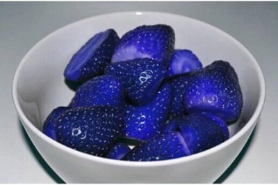 KNESSiN Home Garden Vitamin Fruit Blue Strawberry Seeds Seed(50 per packet)