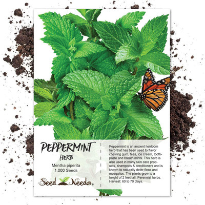 VibeX NBIR-93 - Peppermint - (1350 Seeds) Seed(1350 per packet)