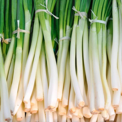 Biosnyg Disease-Resistant Kroll Welsh Onion Vegetable Seeds For Planting-(750 Seeds) Seed(750 per packet)