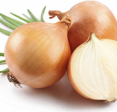 VibeX ® LXI-906 Onion improved Gavran Seeds Seed(1000 per packet)