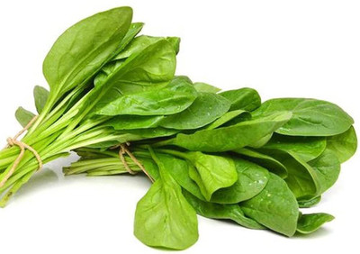 Qualtivate GBPT-7A Desi Leafy Spinach (Palak) Seed(300 per packet)