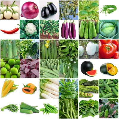 SBGARDEN Summer 40 Variety Vegetables Seeds Home Gardening Seed(32 per packet)