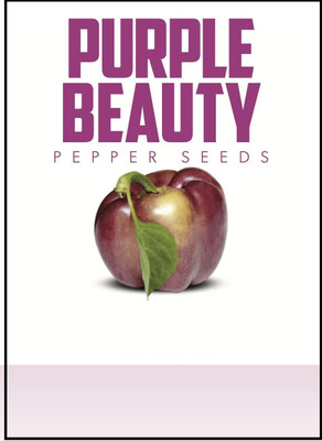 Biosnyg High Germination Purple Capsicum Seeds For Gardening-(100 Seeds) Seed(100 per packet)