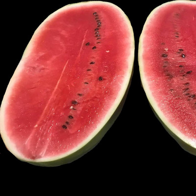 Biosnyg Heirloom Sangria Watermelon Fruit Seeds For Gardening-(100 Seeds) Seed(100 per packet)