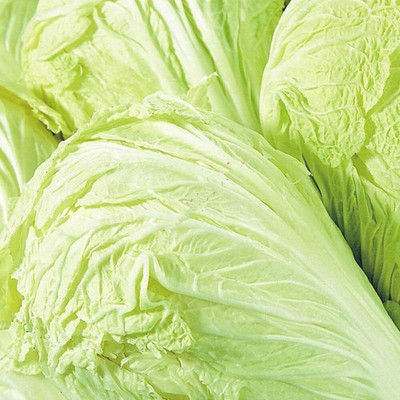KNESSiN Chinese Cabbage Seed(1250 per packet)