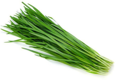 BHUSAN Garlic Chives Seed(60 per packet)