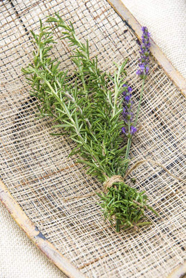 VibeX PUAS-26 - Non-GMO Rosemary - (250 Seeds) Seed(250 per packet)