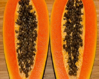 Farmonix Hybrid papaya seed Seed(20 per packet)