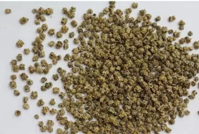 MAA Turnip, Shalajam Seed(15 per packet)
